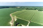 Branch County, Michigan Farmland - VIRTUAL LAND AUCTION - 205.5+/- ACRES OFFERED IN 2 TRACTS AND 2 EQUIPMENT TRACTS IN BRANCH COUNTY, MICHIGAN