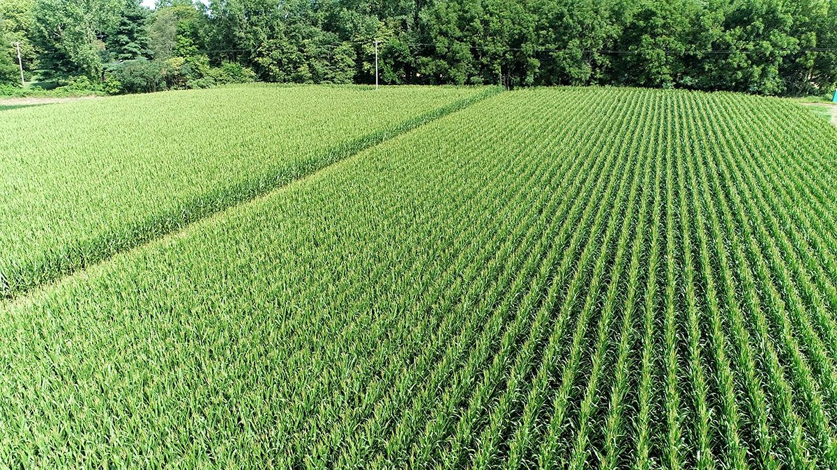 Branch County, Michigan Farmland - VIRTUAL LAND AUCTION - 205.5+/- ACRES OFFERED IN 2 TRACTS AND 2 EQUIPMENT TRACTS IN BRANCH COUNTY, MICHIGAN