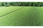 Branch County, Michigan Farmland - VIRTUAL LAND AUCTION - 205.5+/- ACRES OFFERED IN 2 TRACTS AND 2 EQUIPMENT TRACTS IN BRANCH COUNTY, MICHIGAN