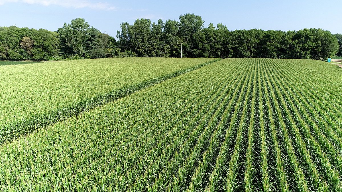 Branch County, Michigan Farmland - VIRTUAL LAND AUCTION - 205.5+/- ACRES OFFERED IN 2 TRACTS AND 2 EQUIPMENT TRACTS IN BRANCH COUNTY, MICHIGAN