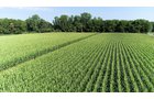 Branch County, Michigan Farmland - VIRTUAL LAND AUCTION - 205.5+/- ACRES OFFERED IN 2 TRACTS AND 2 EQUIPMENT TRACTS IN BRANCH COUNTY, MICHIGAN
