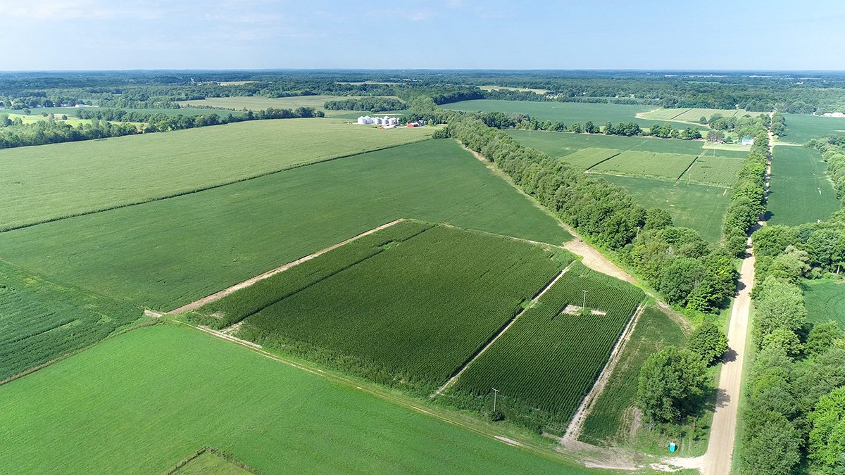 Branch County, Michigan Farmland - VIRTUAL LAND AUCTION - 205.5+/- ACRES OFFERED IN 2 TRACTS AND 2 EQUIPMENT TRACTS IN BRANCH COUNTY, MICHIGAN