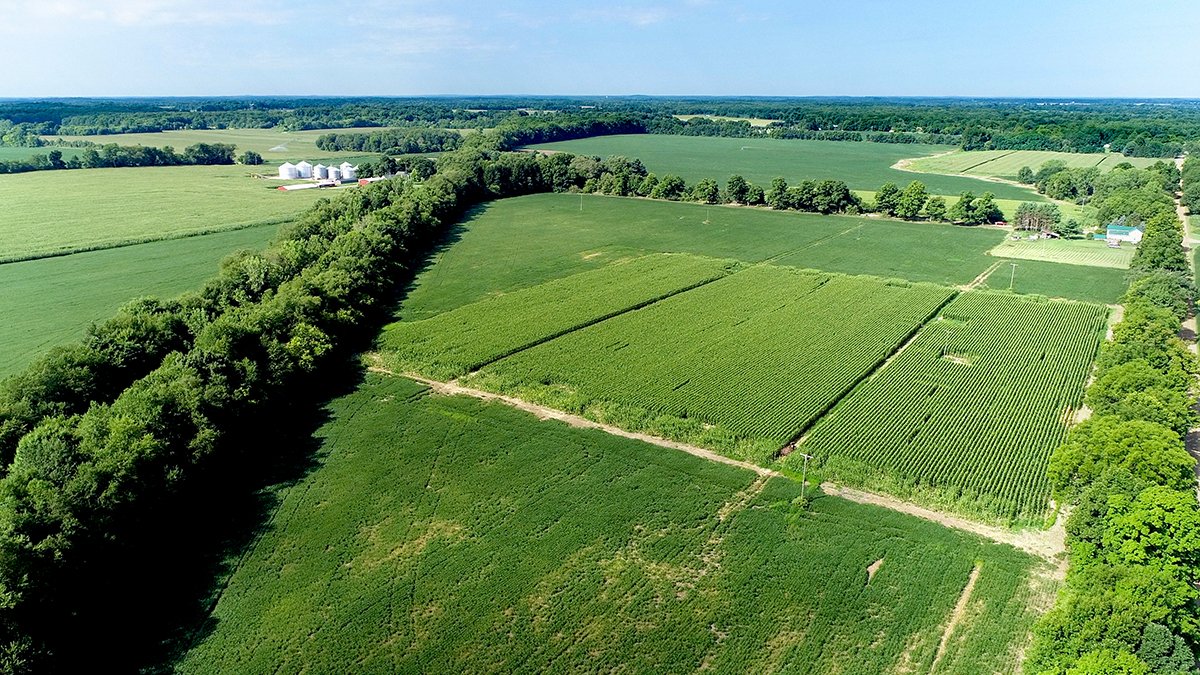 Branch County, Michigan Farmland - VIRTUAL LAND AUCTION - 205.5+/- ACRES OFFERED IN 2 TRACTS AND 2 EQUIPMENT TRACTS IN BRANCH COUNTY, MICHIGAN