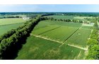 Branch County, Michigan Farmland - VIRTUAL LAND AUCTION - 205.5+/- ACRES OFFERED IN 2 TRACTS AND 2 EQUIPMENT TRACTS IN BRANCH COUNTY, MICHIGAN