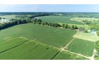 Branch County, Michigan Farmland - VIRTUAL LAND AUCTION - 205.5+/- ACRES OFFERED IN 2 TRACTS AND 2 EQUIPMENT TRACTS IN BRANCH COUNTY, MICHIGAN