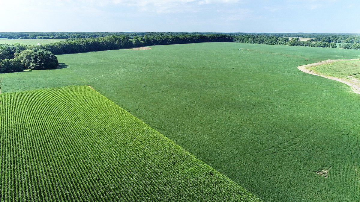 Branch County, Michigan Farmland - VIRTUAL LAND AUCTION - 205.5+/- ACRES OFFERED IN 2 TRACTS AND 2 EQUIPMENT TRACTS IN BRANCH COUNTY, MICHIGAN