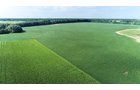 Branch County, Michigan Farmland - VIRTUAL LAND AUCTION - 205.5+/- ACRES OFFERED IN 2 TRACTS AND 2 EQUIPMENT TRACTS IN BRANCH COUNTY, MICHIGAN