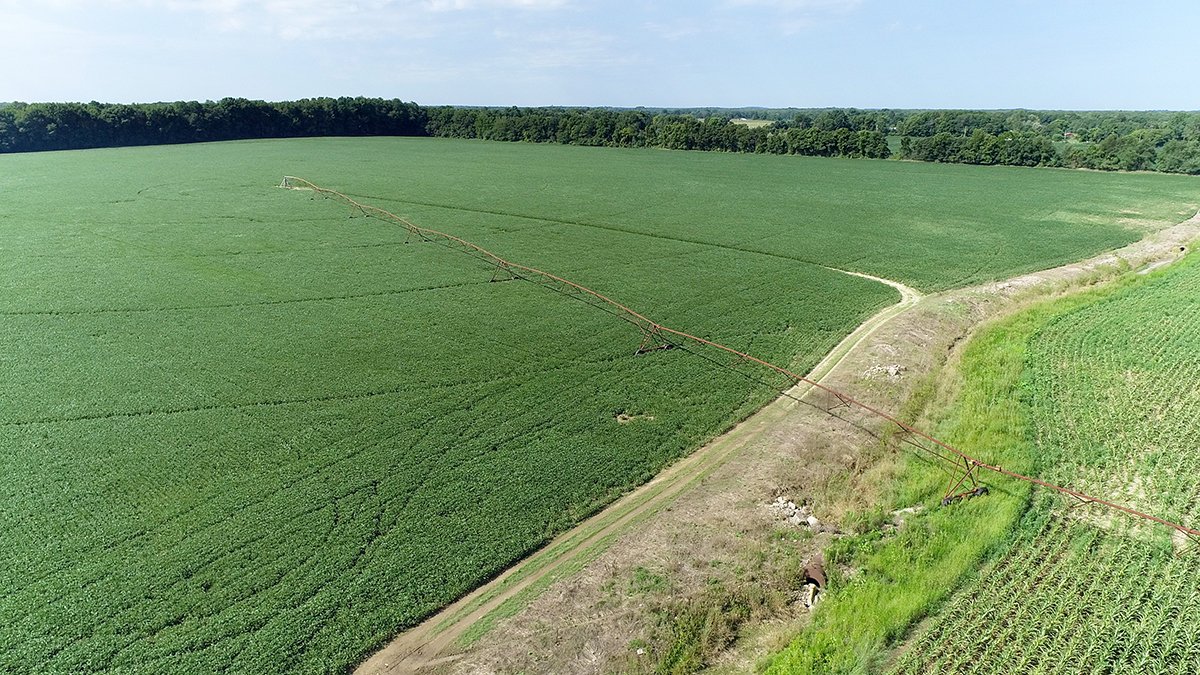Branch County, Michigan Farmland - VIRTUAL LAND AUCTION - 205.5+/- ACRES OFFERED IN 2 TRACTS AND 2 EQUIPMENT TRACTS IN BRANCH COUNTY, MICHIGAN