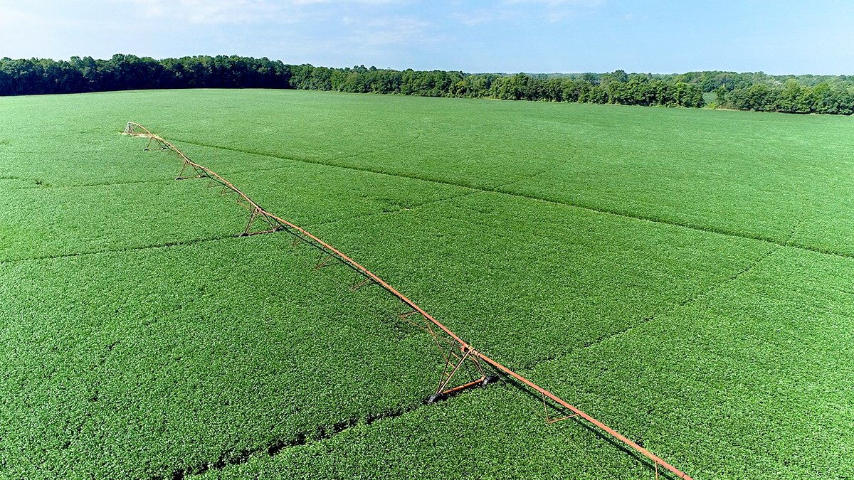Branch County, Michigan Farmland - VIRTUAL LAND AUCTION - 205.5+/- ACRES OFFERED IN 2 TRACTS AND 2 EQUIPMENT TRACTS IN BRANCH COUNTY, MICHIGAN