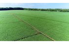 Branch County, Michigan Farmland - VIRTUAL LAND AUCTION - 205.5+/- ACRES OFFERED IN 2 TRACTS AND 2 EQUIPMENT TRACTS IN BRANCH COUNTY, MICHIGAN