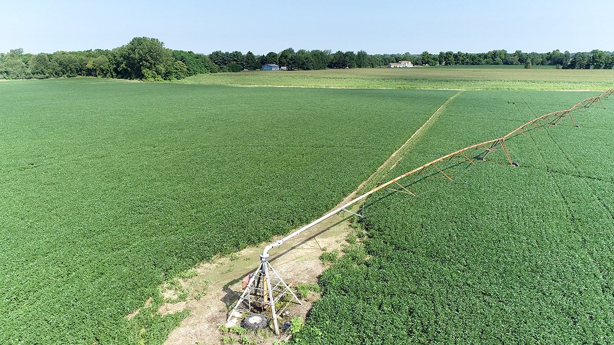 Branch County, Michigan Farmland - VIRTUAL LAND AUCTION - 205.5+/- ACRES OFFERED IN 2 TRACTS AND 2 EQUIPMENT TRACTS IN BRANCH COUNTY, MICHIGAN