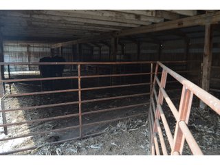 Inside of Barn in Noble County, Indiana - FARM AUCTION - 144+/- ACRES OFFERED IN 12 TRACTS OR IN COMBINATIONS IN NOBLE COUNTY, INDIANA