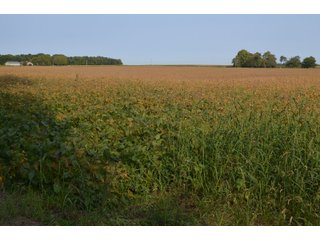 Noble County, Indiana Farmland - FARM AUCTION - 144+/- ACRES OFFERED IN 12 TRACTS OR IN COMBINATIONS IN NOBLE COUNTY, INDIANA