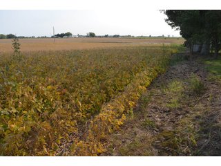 Noble County, Indiana Farmland - FARM AUCTION - 144+/- ACRES OFFERED IN 12 TRACTS OR IN COMBINATIONS IN NOBLE COUNTY, INDIANA