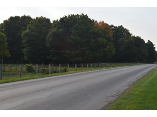 Noble County, Indiana Farmland - FARM AUCTION - 144+/- ACRES OFFERED IN 12 TRACTS OR IN COMBINATIONS IN NOBLE COUNTY, INDIANA