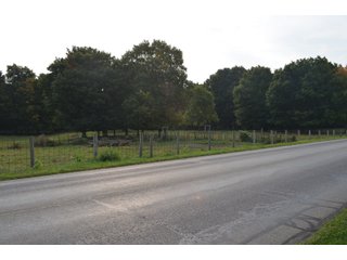 Noble County, Indiana Farmland - FARM AUCTION - 144+/- ACRES OFFERED IN 12 TRACTS OR IN COMBINATIONS IN NOBLE COUNTY, INDIANA