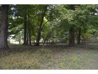 Woods in Noble County, Indiana - FARM AUCTION - 144+/- ACRES OFFERED IN 12 TRACTS OR IN COMBINATIONS IN NOBLE COUNTY, INDIANA