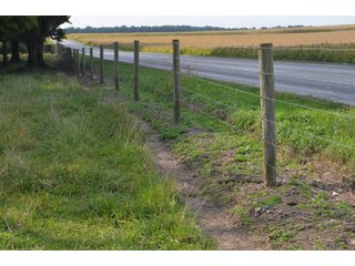 Home in Noble County, Indiana - FARM AUCTION - 144+/- ACRES OFFERED IN 12 TRACTS OR IN COMBINATIONS IN NOBLE COUNTY, INDIANA