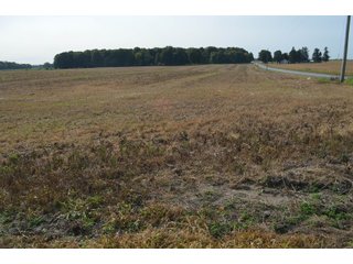 Noble County, Indiana Farmland - FARM AUCTION - 144+/- ACRES OFFERED IN 12 TRACTS OR IN COMBINATIONS IN NOBLE COUNTY, INDIANA