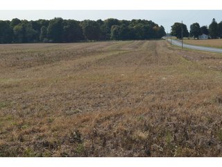 Noble County, Indiana Farmland - FARM AUCTION - 144+/- ACRES OFFERED IN 12 TRACTS OR IN COMBINATIONS IN NOBLE COUNTY, INDIANA