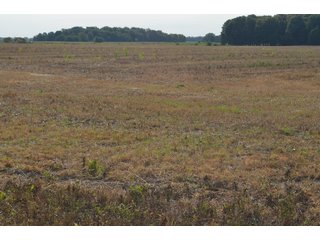Noble County, Indiana Farmland - FARM AUCTION - 144+/- ACRES OFFERED IN 12 TRACTS OR IN COMBINATIONS IN NOBLE COUNTY, INDIANA