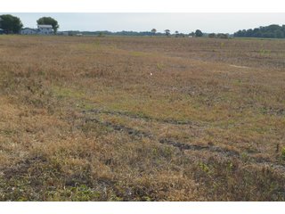 Noble County, Indiana Farmland - FARM AUCTION - 144+/- ACRES OFFERED IN 12 TRACTS OR IN COMBINATIONS IN NOBLE COUNTY, INDIANA