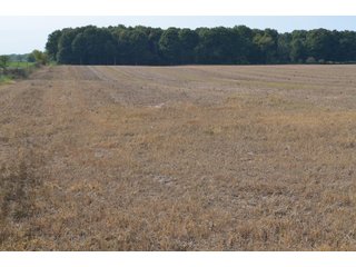 Noble County, Indiana Farmland - FARM AUCTION - 144+/- ACRES OFFERED IN 12 TRACTS OR IN COMBINATIONS IN NOBLE COUNTY, INDIANA