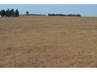 Noble County, Indiana Farmland - FARM AUCTION - 144+/- ACRES OFFERED IN 12 TRACTS OR IN COMBINATIONS IN NOBLE COUNTY, INDIANA