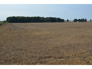 Noble County, Indiana Farmland - FARM AUCTION - 144+/- ACRES OFFERED IN 12 TRACTS OR IN COMBINATIONS IN NOBLE COUNTY, INDIANA