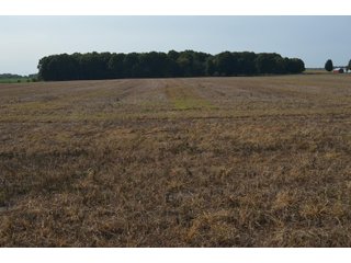 Noble County, Indiana Farmland - FARM AUCTION - 144+/- ACRES OFFERED IN 12 TRACTS OR IN COMBINATIONS IN NOBLE COUNTY, INDIANA