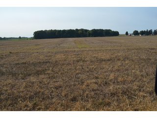 Noble County, Indiana Farmland - FARM AUCTION - 144+/- ACRES OFFERED IN 12 TRACTS OR IN COMBINATIONS IN NOBLE COUNTY, INDIANA