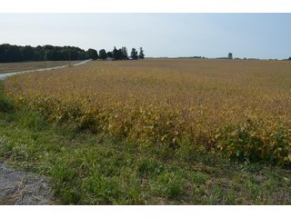 Noble County, Indiana Farmland - FARM AUCTION - 144+/- ACRES OFFERED IN 12 TRACTS OR IN COMBINATIONS IN NOBLE COUNTY, INDIANA