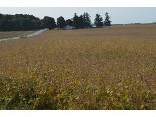 Noble County, Indiana Farmland - FARM AUCTION - 144+/- ACRES OFFERED IN 12 TRACTS OR IN COMBINATIONS IN NOBLE COUNTY, INDIANA