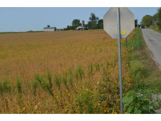 Noble County, Indiana Farmland - FARM AUCTION - 144+/- ACRES OFFERED IN 12 TRACTS OR IN COMBINATIONS IN NOBLE COUNTY, INDIANA