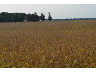 Noble County, Indiana Farmland - FARM AUCTION - 144+/- ACRES OFFERED IN 12 TRACTS OR IN COMBINATIONS IN NOBLE COUNTY, INDIANA