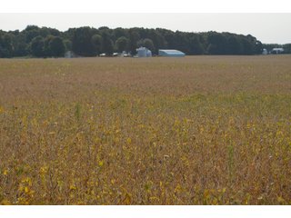 Noble County, Indiana Farmland - FARM AUCTION - 144+/- ACRES OFFERED IN 12 TRACTS OR IN COMBINATIONS IN NOBLE COUNTY, INDIANA