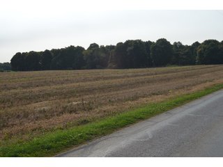 Noble County, Indiana Farmland - FARM AUCTION - 144+/- ACRES OFFERED IN 12 TRACTS OR IN COMBINATIONS IN NOBLE COUNTY, INDIANA
