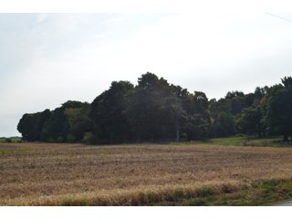 Noble County, Indiana Farmland - FARM AUCTION - 144+/- ACRES OFFERED IN 12 TRACTS OR IN COMBINATIONS IN NOBLE COUNTY, INDIANA
