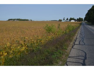Noble County, Indiana Farmland - FARM AUCTION - 144+/- ACRES OFFERED IN 12 TRACTS OR IN COMBINATIONS IN NOBLE COUNTY, INDIANA