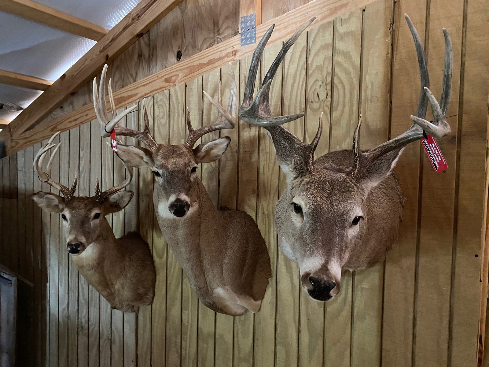 Property photo 49 - TIMED ONLINE ONLY AUCTION - PERSONAL PROPERTY AUCTION IN ELKHART COUNTY, INDIANA