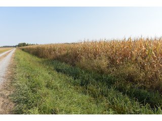 White & Hamilton Counties, Illinois Farmland - ILLINOIS REAL ESTATE AUCTION - 1,720+/- ACRES OFFERED IN 38 TRACTS IN WHITE & HAMILTON COUNTIES, ILLINOIS