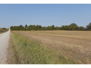 White & Hamilton Counties, Illinois Farmland - ILLINOIS REAL ESTATE AUCTION - 1,720+/- ACRES OFFERED IN 38 TRACTS IN WHITE & HAMILTON COUNTIES, ILLINOIS