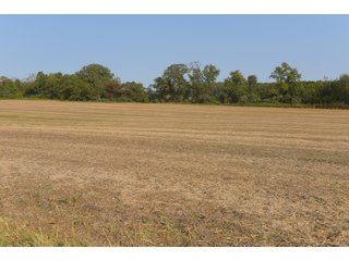 White & Hamilton Counties, Illinois Farmland - ILLINOIS REAL ESTATE AUCTION - 1,720+/- ACRES OFFERED IN 38 TRACTS IN WHITE & HAMILTON COUNTIES, ILLINOIS