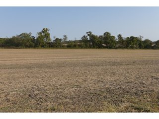 White & Hamilton Counties, Illinois Farmland - ILLINOIS REAL ESTATE AUCTION - 1,720+/- ACRES OFFERED IN 38 TRACTS IN WHITE & HAMILTON COUNTIES, ILLINOIS
