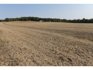 White & Hamilton Counties, Illinois Farmland - ILLINOIS REAL ESTATE AUCTION - 1,720+/- ACRES OFFERED IN 38 TRACTS IN WHITE & HAMILTON COUNTIES, ILLINOIS