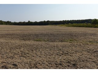 White & Hamilton Counties, Illinois Farmland - ILLINOIS REAL ESTATE AUCTION - 1,720+/- ACRES OFFERED IN 38 TRACTS IN WHITE & HAMILTON COUNTIES, ILLINOIS