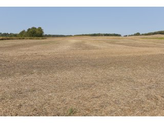White & Hamilton Counties, Illinois Farmland - ILLINOIS REAL ESTATE AUCTION - 1,720+/- ACRES OFFERED IN 38 TRACTS IN WHITE & HAMILTON COUNTIES, ILLINOIS