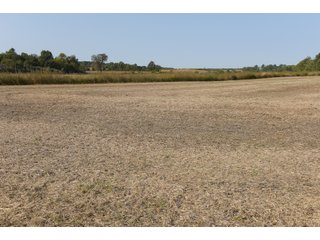 White & Hamilton Counties, Illinois Farmland - ILLINOIS REAL ESTATE AUCTION - 1,720+/- ACRES OFFERED IN 38 TRACTS IN WHITE & HAMILTON COUNTIES, ILLINOIS