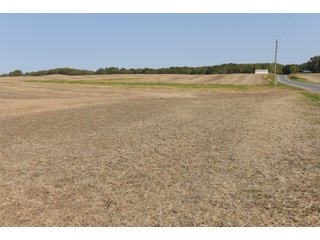 White & Hamilton Counties, Illinois Farmland - ILLINOIS REAL ESTATE AUCTION - 1,720+/- ACRES OFFERED IN 38 TRACTS IN WHITE & HAMILTON COUNTIES, ILLINOIS