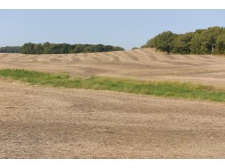 White & Hamilton Counties, Illinois Farmland - ILLINOIS REAL ESTATE AUCTION - 1,720+/- ACRES OFFERED IN 38 TRACTS IN WHITE & HAMILTON COUNTIES, ILLINOIS